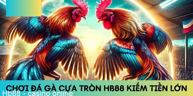 đá gà cựa tròn HB88