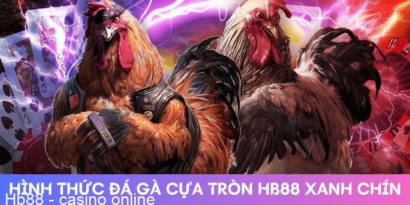 Hình thức đá gà cựa tròn HB88 xanh chín