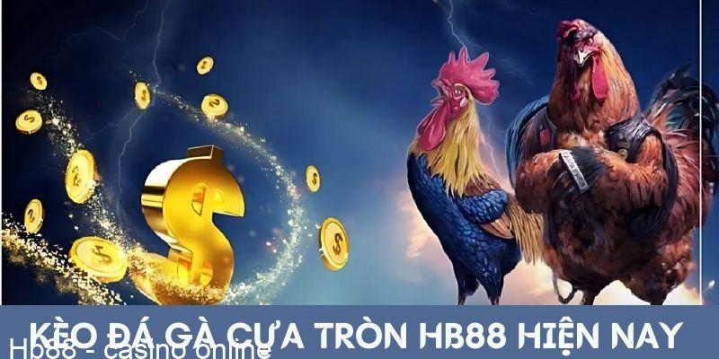 Kèo cá cược đá gà cựa tròn HB88 hiện nay