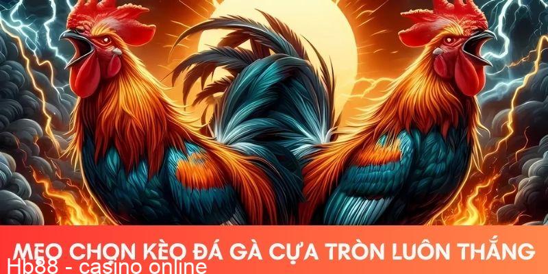 Mẹo chọn kèo đá gà cựa tròn luôn thắng